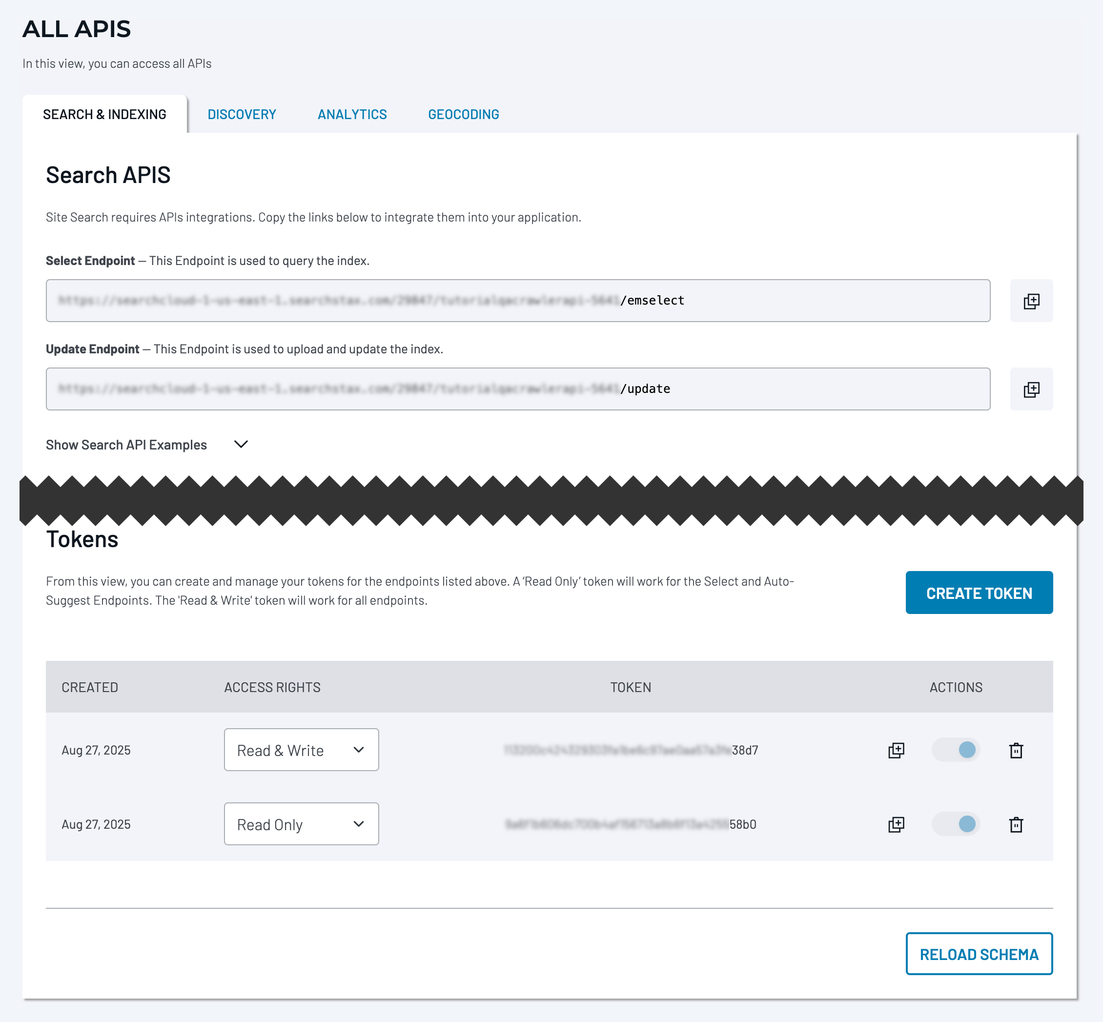 SearchStax Site Search All APIs screen with Search and Update Endpoints and authentication tokens.page.