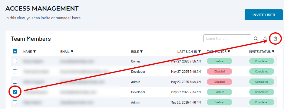 Team Members table with delete and bulk action options highlighted.