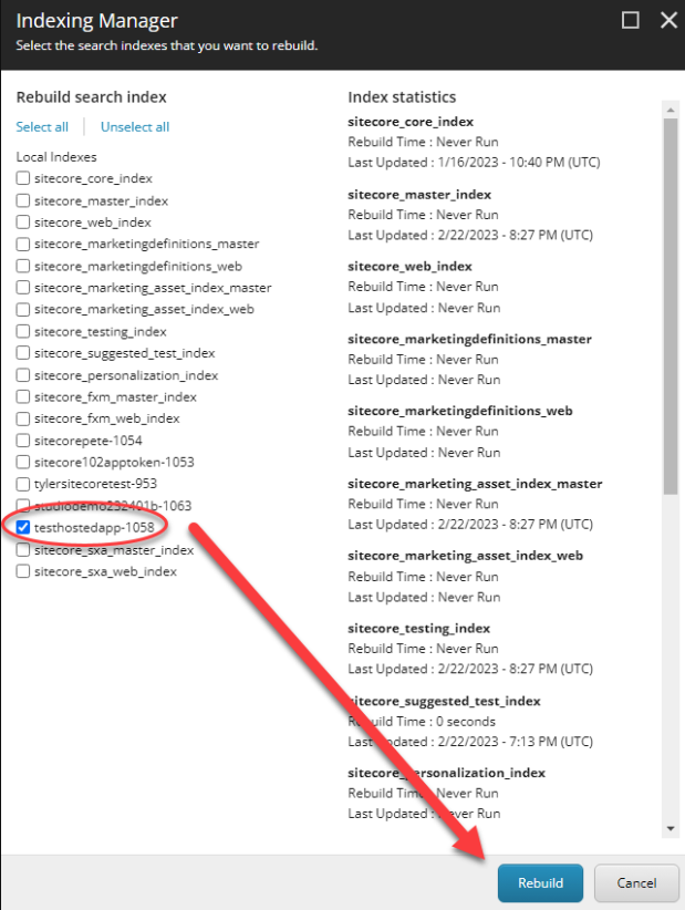 Indexing Manager dialog showing local search indexes with checkboxes, index statistics on the right, and Rebuild and Cancel buttons at the bottom.