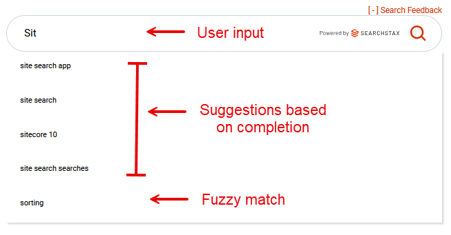 Search interface displaying user input field, completion-based suggestions dropdown, and fuzzy match results.